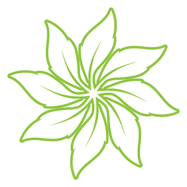 Leaf green ornament design and symbol vector template