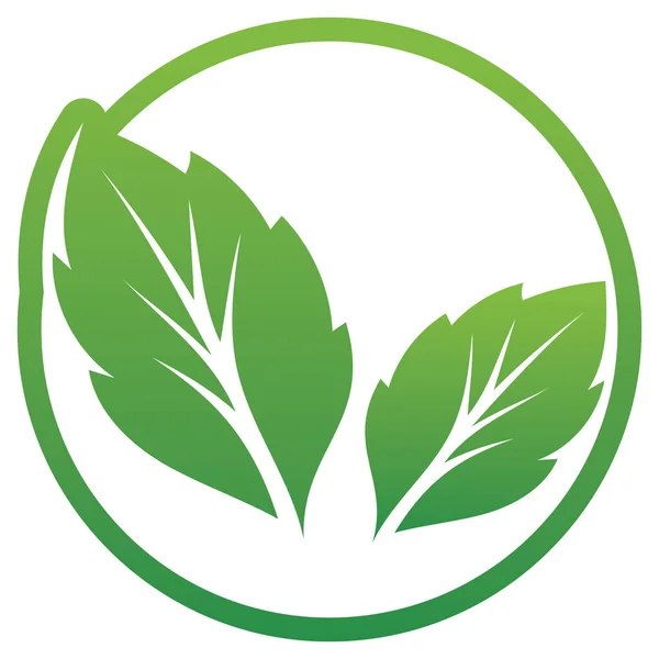 Logo Vert Feuille Modèle Vectoriel Symbole — Image vectorielle