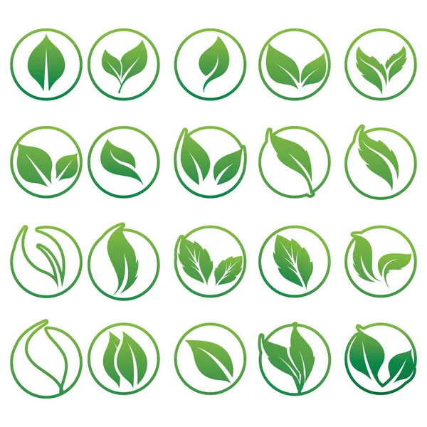 Icona Foglia Verde Impostata Sfondo Bianco — Vettoriale Stock