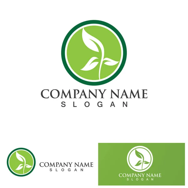 Grön Blad Ekologi Natur Element Vektor Logotyp — Stock vektor
