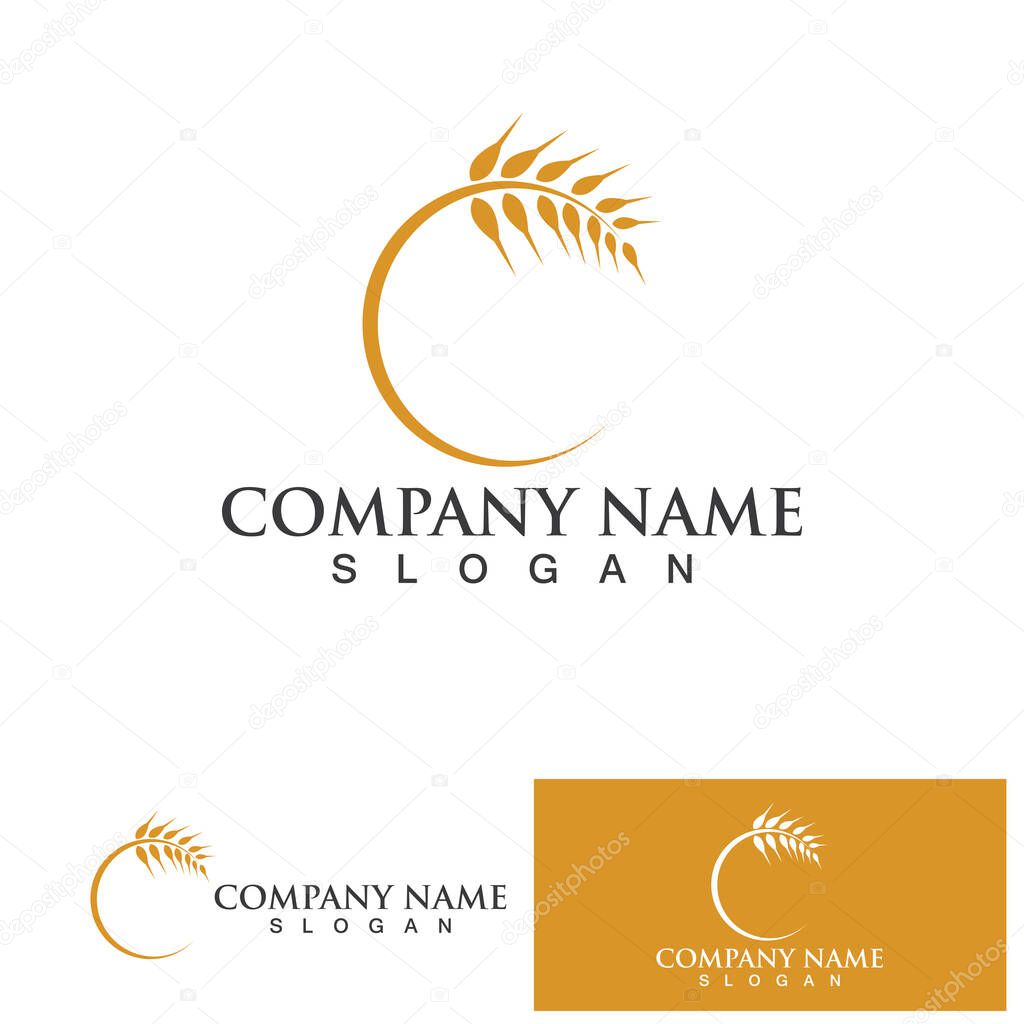 Agriculture wheat vector icon design