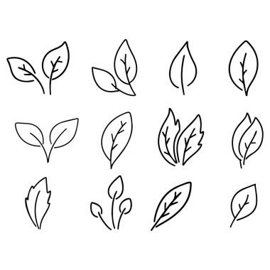 Yaprak ekolojisi doğa element vektör simgesi