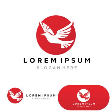 kuş logo vektör tasarım şablonu