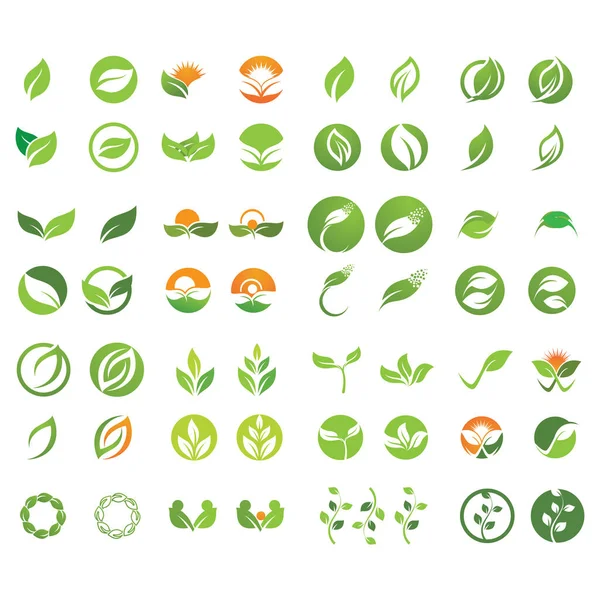 Hoja Verde Logotipo Símbolo Vector Plantilla — Vector de stock