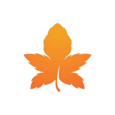 Sonbahar Akçaağaç yaprağı vektör çizim şablonu