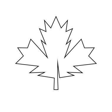 Sonbahar Akçaağaç yaprağı vektör çizim şablonu