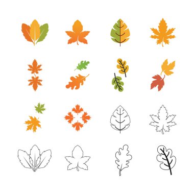 Sonbahar Akçaağaç yaprağı vektör çizim şablonu