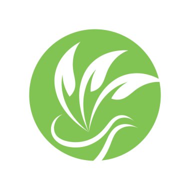 Doğa yaprağı eko yeşil logo simgesi