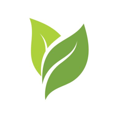 Vejetaryen yaprağı yeşil eko logo doğa