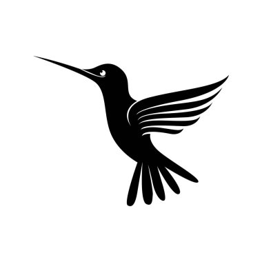 Bir sinekkuşunun siyah beyaz çizgisi.