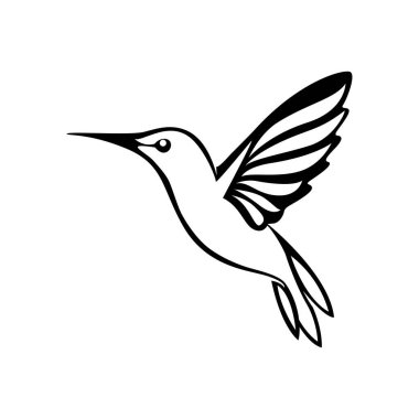 Bir sinekkuşunun siyah beyaz çizgisi.