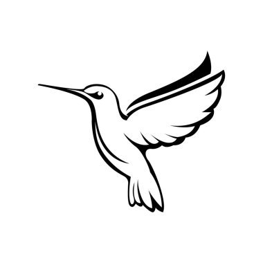 Bir sinekkuşunun siyah beyaz çizgisi.