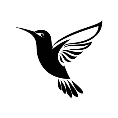 Bir sinekkuşunun siyah beyaz çizgisi.