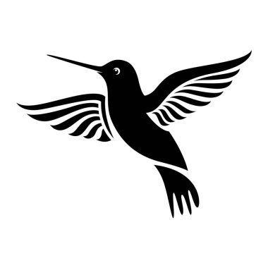 Bir sinekkuşunun siyah beyaz çizgisi.