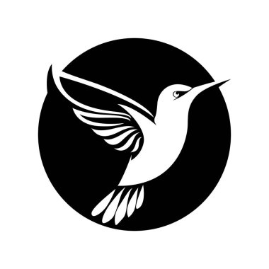 Bir sinekkuşunun siyah beyaz çizgisi.