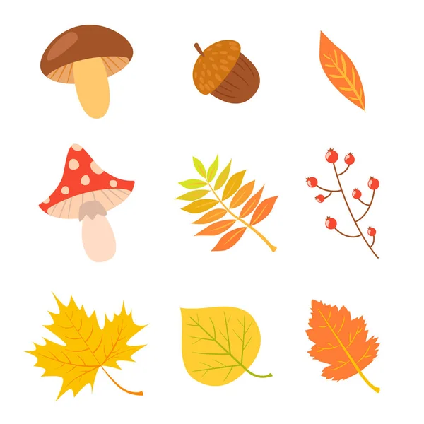 Conjunto Folhas Coloridas Outono Cogumelos Bagas Ilustração Vetorial —  Vetores de Stock