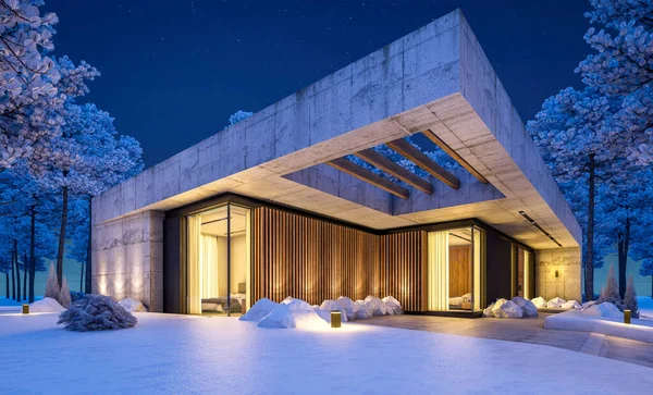 양식의 새로운 하우스 렌더링 임대료 아름다운 조경을 배경으로 뜨거운 겨울밤 — 스톡 사진
