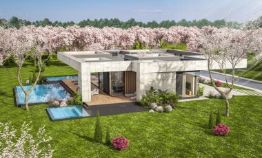 3d rendering of new concrete house in modern style with pool and parking for sale or rent and beautiful landscaping on background. Fresh spring day with a blooming trees with flowers of sakura.