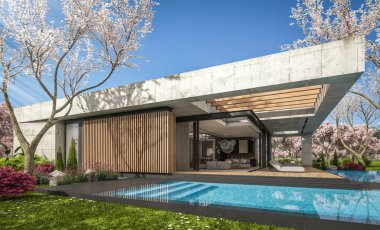 3d rendering of new concrete house in modern style with pool and parking for sale or rent and beautiful landscaping on background. Fresh spring day with a blooming trees with flowers of sakura.