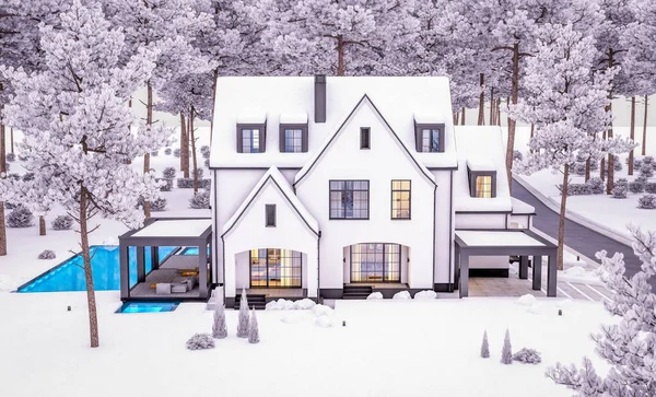 Rendering Van Leuke Gezellige Witte Zwarte Moderne Tudor Stijl Huis — Stockfoto