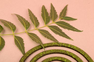 Sivrisinek bobini, sivrisinek kovucu tütsüdür. Genellikle spiral, sivrisinek ve yeşil yaprak şeklinde olur.