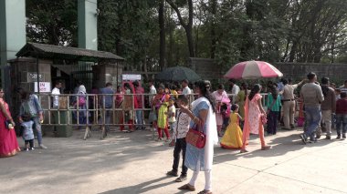 Yerel hayvanat bahçesini ziyaret eden turist grubu