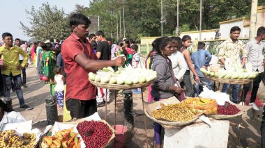 PUNE, Hindistan - 22 Haziran 2020 Rajiv Gandhi Zooloji Parkı 'nda Rajiv Gandi Hayvanat Bahçesi veya Katraj Hayvanat Bahçesi olarak bilinen turistler.
