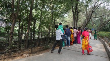 Yerel hayvanat bahçesini ziyaret eden turist grubu