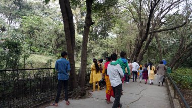 Yerel hayvanat bahçesini ziyaret eden turist grubu