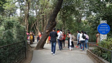 Yerel hayvanat bahçesini ziyaret eden turist grubu