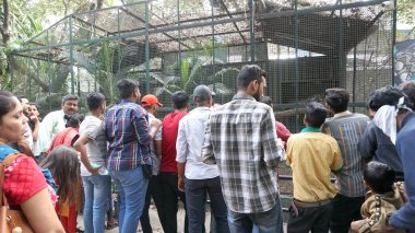 Yerel hayvanat bahçesini ziyaret eden turist grubu