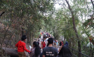 PUNE, Hindistan - 22 Haziran 2020 Rajiv Gandhi Zooloji Parkı 'nda Rajiv Gandi Hayvanat Bahçesi veya Katraj Hayvanat Bahçesi olarak bilinen turistler.