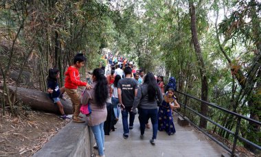 PUNE, Hindistan - 22 Haziran 2020 Rajiv Gandhi Zooloji Parkı 'nda Rajiv Gandi Hayvanat Bahçesi veya Katraj Hayvanat Bahçesi olarak bilinen turistler.