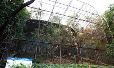 PUNE, Hindistan - 22 Haziran 2020 Rajiv Gandhi Zooloji Parkı 'nda Rajiv Gandi Hayvanat Bahçesi veya Katraj Hayvanat Bahçesi olarak bilinen turistler.