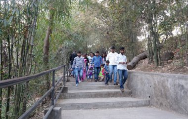 PUNE, Hindistan - 22 Haziran 2020 Rajiv Gandhi Zooloji Parkı 'nda Rajiv Gandi Hayvanat Bahçesi veya Katraj Hayvanat Bahçesi olarak bilinen turistler.