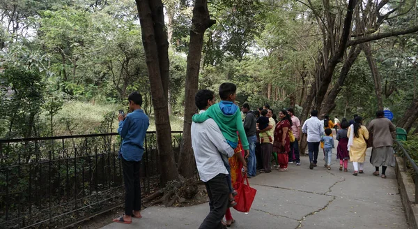 stock image group of tourists visiting local zoo