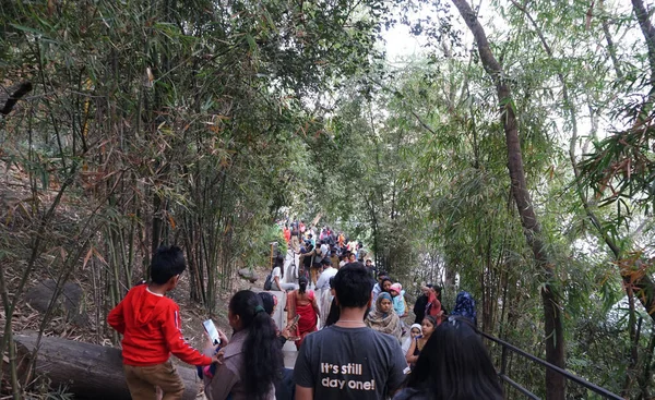 PUNE, Hindistan - 22 Haziran 2020 Rajiv Gandhi Zooloji Parkı 'nda Rajiv Gandi Hayvanat Bahçesi veya Katraj Hayvanat Bahçesi olarak bilinen turistler.