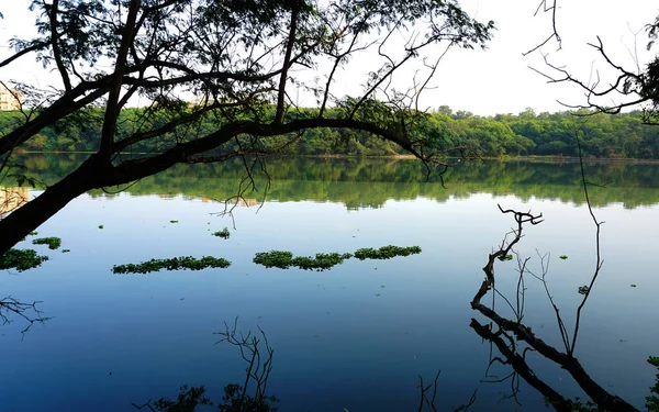 stock image Beautiful lake view in rajiv gandhi zoological park, Pune.