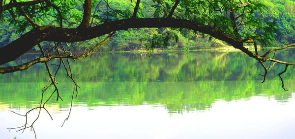 Rajiv Gandhi zooloji parkındaki güzel göl manzarası, Pune..