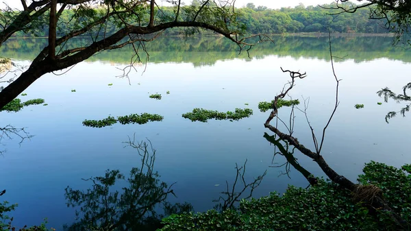 stock image Beautiful lake view in rajiv gandhi zoological park, Pune.