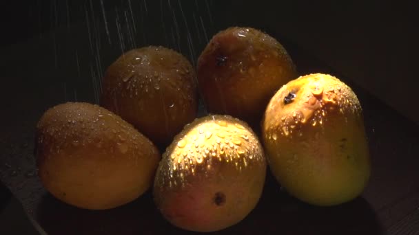 Imágenes Estudio Pulverización Agua Sobre Frutas Frescas Mango Oscuridad — Vídeo de stock