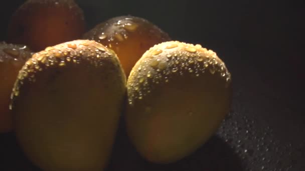 Imágenes Estudio Frutas Frescas Mango Con Gotas Agua Oscuridad — Vídeo de stock