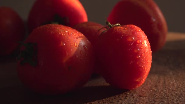 Imágenes Estudio Tomates Frescos Oscuridad — Vídeos de Stock