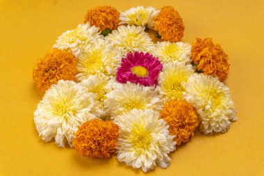 Sarı arkaplanda güzel çiçeklerin yakın plan görüntüsü