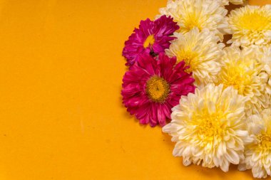 Sarı arkaplanda güzel çiçeklerin yakın plan görüntüsü