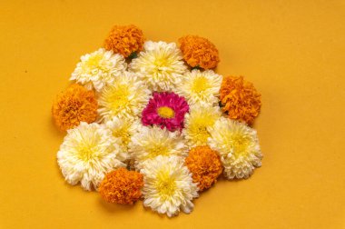 Sarı arkaplanda güzel çiçeklerin yakın plan görüntüsü