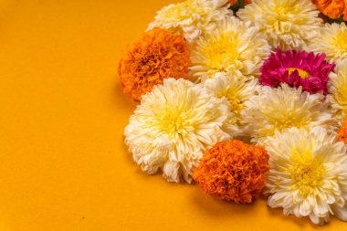 Sarı arkaplanda güzel çiçeklerin yakın plan görüntüsü