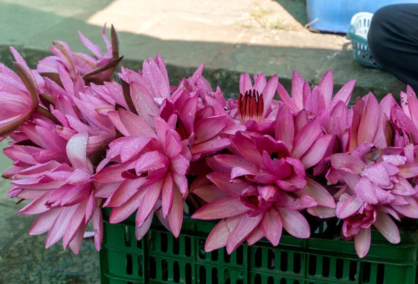 beautiful flowers on sale on the local market at India