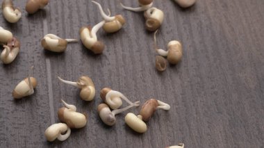 Filizlenmiş soya, sağlıklı gıda kavramına yakın plan.