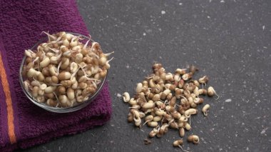 close up view of raw sprouted soy in bowl with towel, healthy food concept